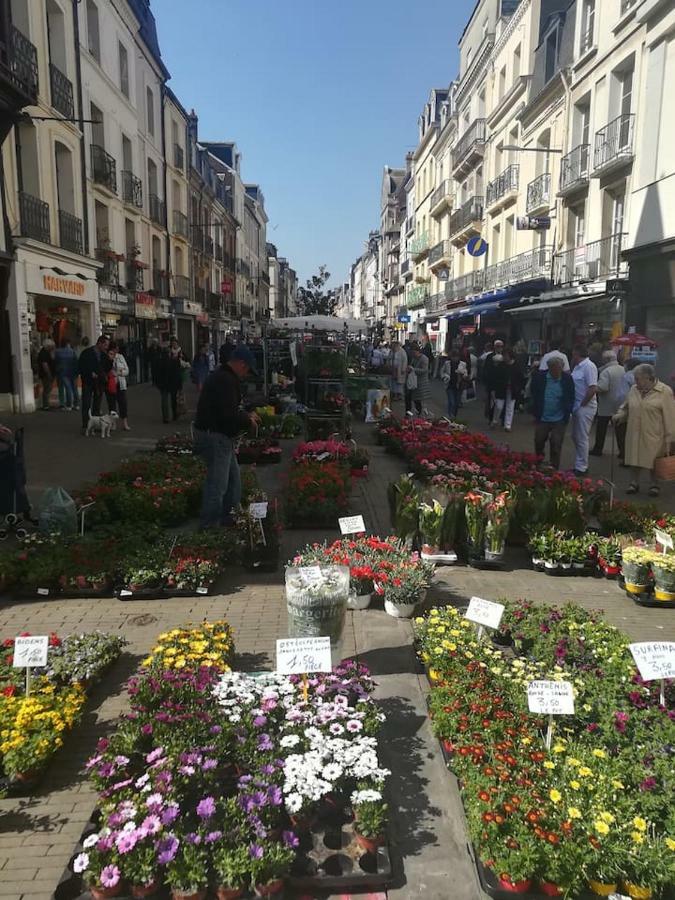 Bienvenue Sous Les Toits De Dieppe *** Hypercentre 外观 照片